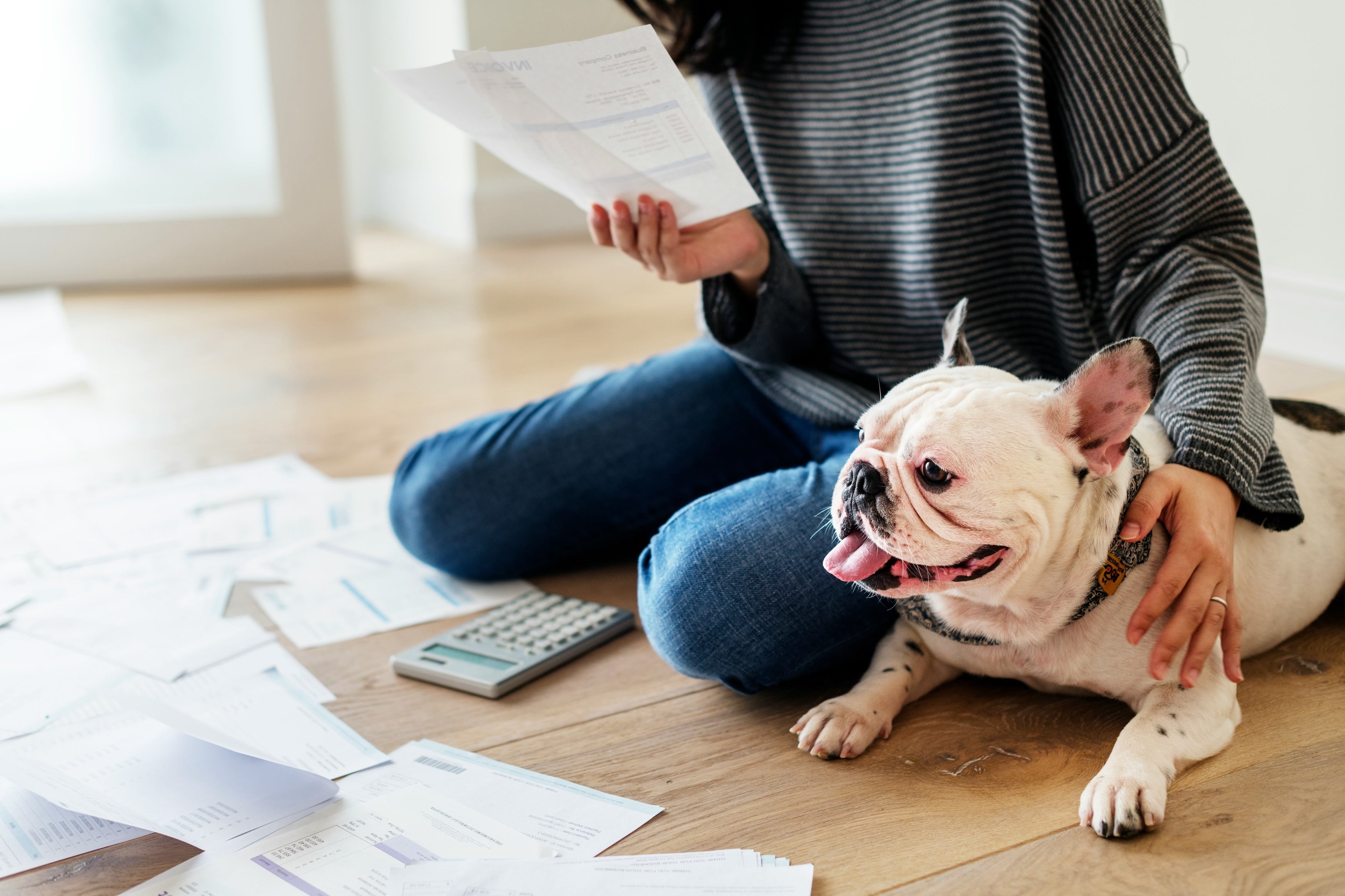 Can you claim a tax credit for a pet?