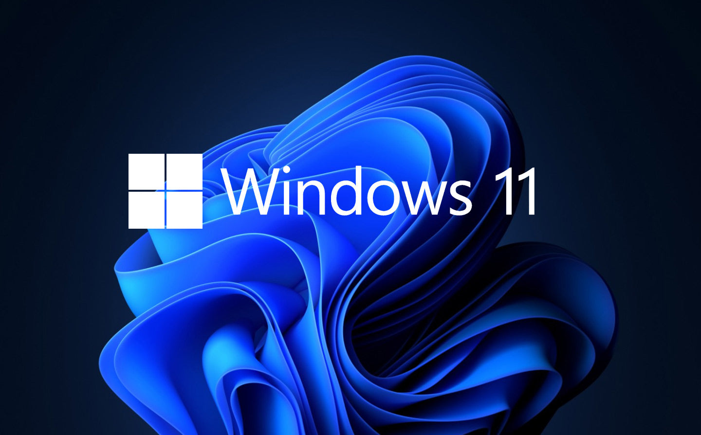 Windows 11