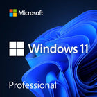 Microsoft Windows 11 Professional