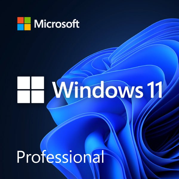 Microsoft Windows 11 Professional 