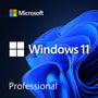 Microsoft Windows 11 Professional
