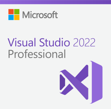 Microsoft Visual Studio 2022 Professional - CSP 