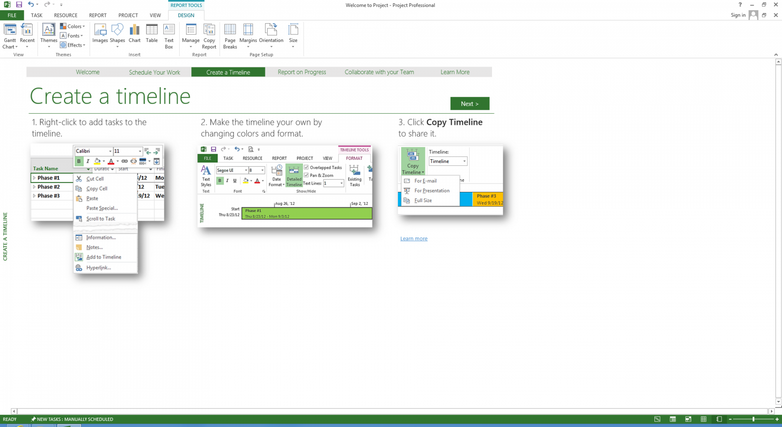 Microsoft Project 2013 Professional - SoftwareDiscountUSA