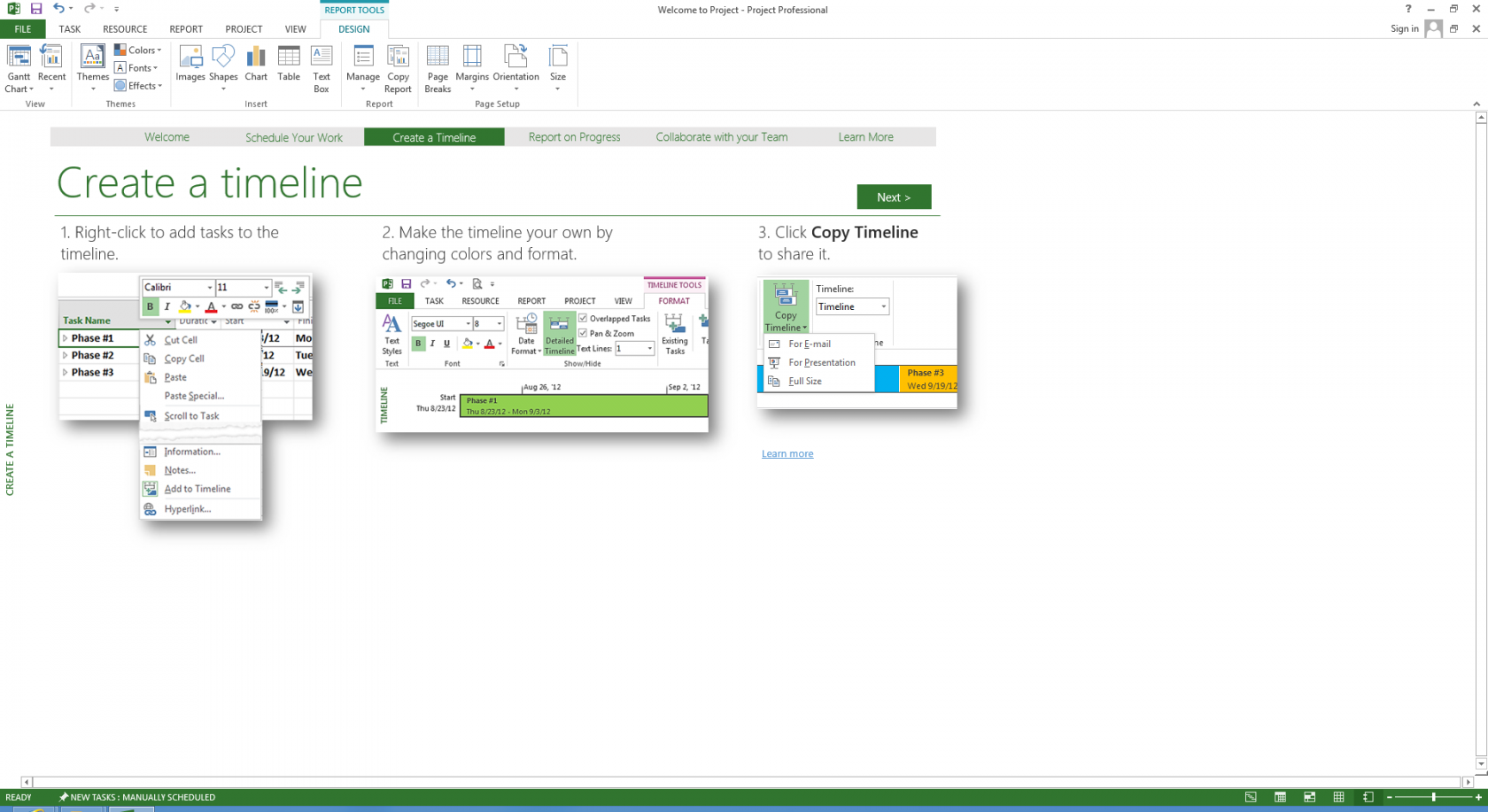 Microsoft Project 2013 Standard